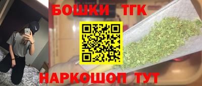 прущие грибы Абакан