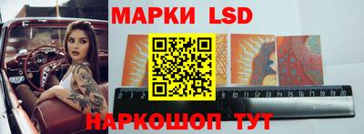 прущие грибы Абакан
