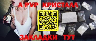 прущие грибы Абакан