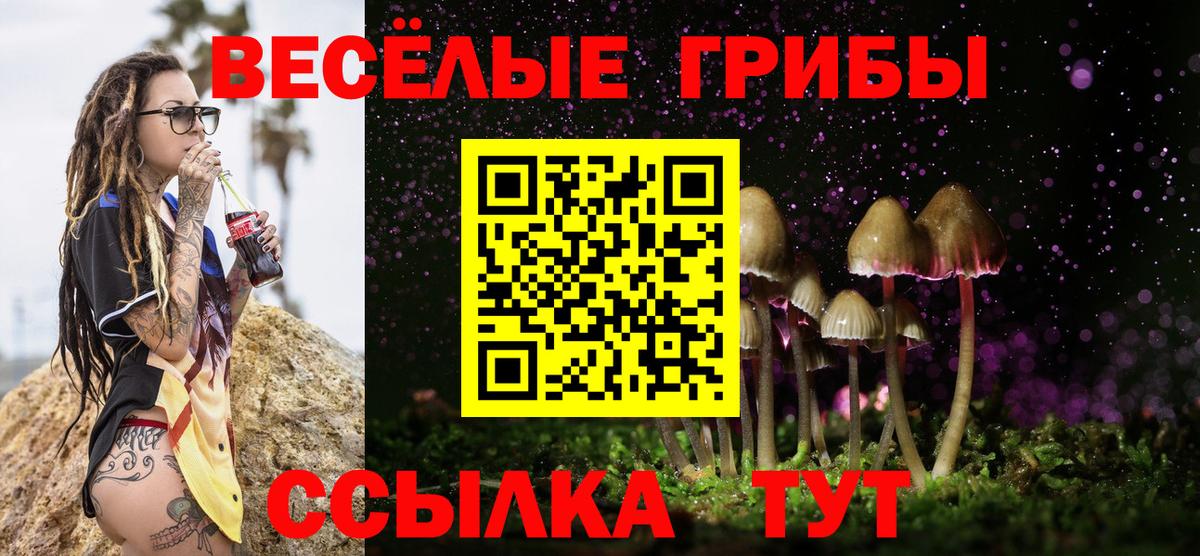 Апатиты  Псилоцибиновые грибы Magic Shrooms  Вход с VPN  Галлюциногенные грибы Psilocybe 