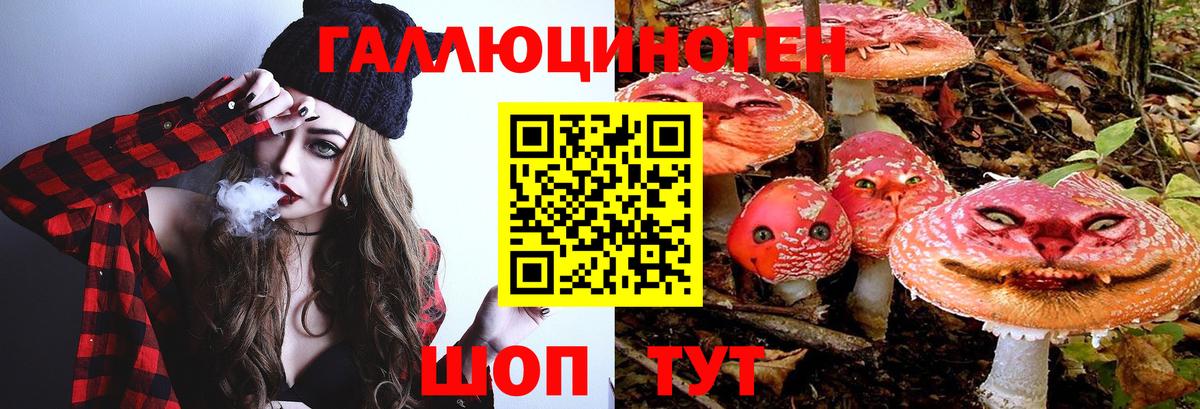 Псилоцибиновые грибы прущие грибы Апатиты