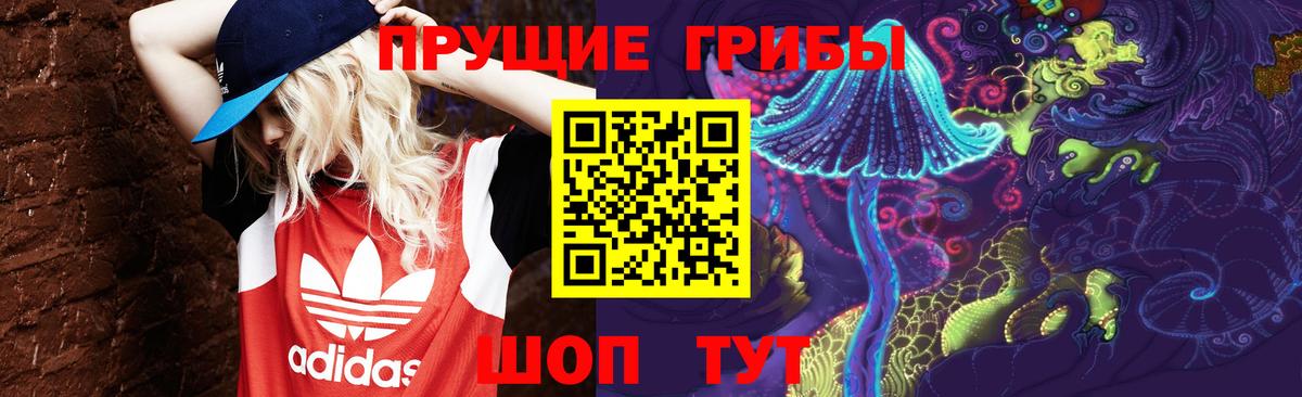 Галлюциногенные грибы MAGIC MUSHROOMS  Вход с VPN  Апатиты  купить   Галлюциногенные грибы прущие грибы 