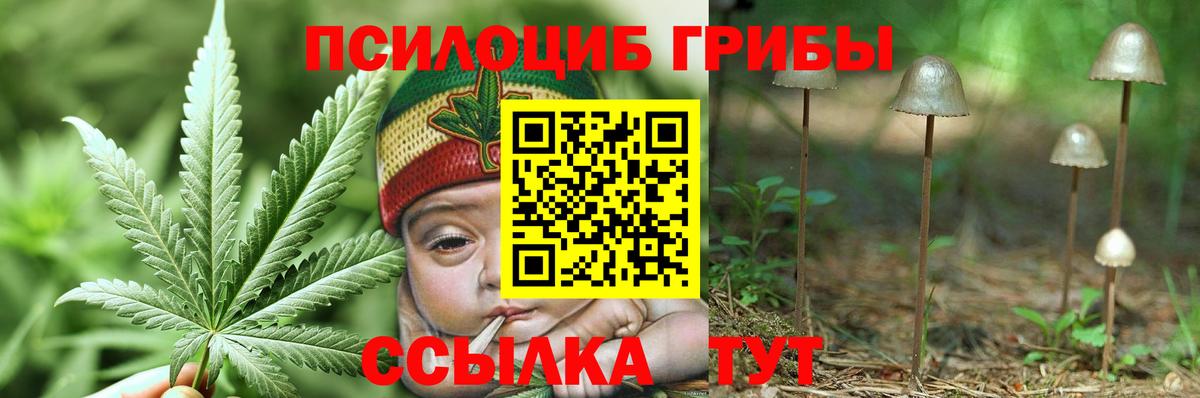 Псилоцибиновые грибы GOLDEN TEACHER  Апатиты  Псилоцибиновые грибы Psilocybine cubensis 